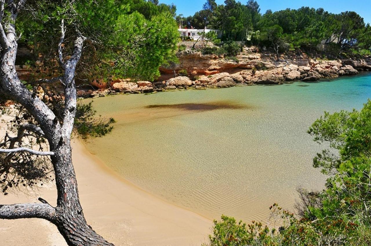 Villa Dorada L'Ametlla de Mar Εξωτερικό φωτογραφία